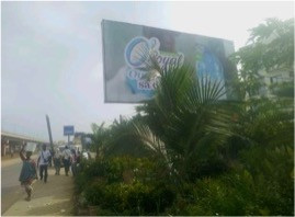 Lania Key Research and studies discovery